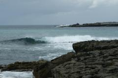 SONY DSC