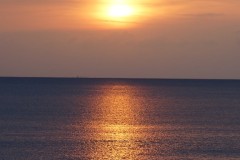 DSC02821