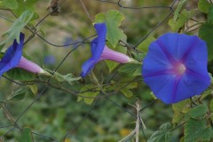 DSC02851