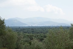 DSC02968