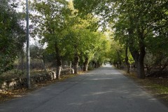 DSC03120