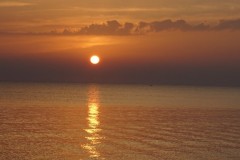 DSC03123
