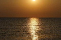 DSC03186