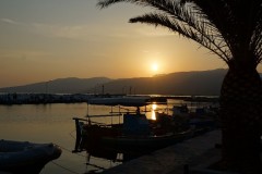DSC03270