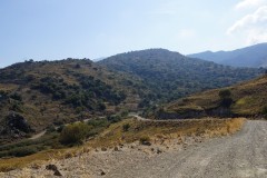 DSC03311