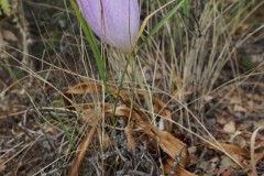 DSC03400