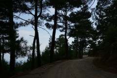 DSC03404