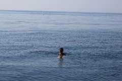 DSC03452