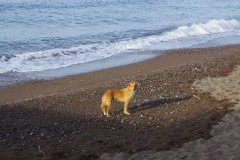 DSC03491