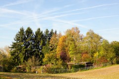 DSC03537