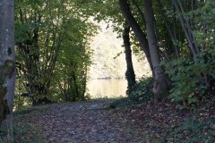 DSC03544