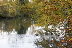 DSC03546