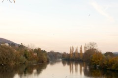 DSC03551