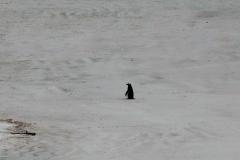 DSC00005