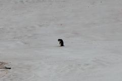 DSC00007