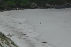 DSC00008