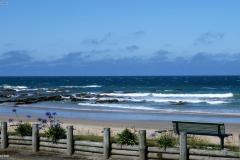 SONY DSC