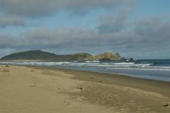 SONY DSC