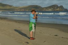 SONY DSC