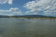 SONY DSC