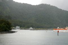 SONY DSC