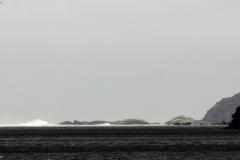 DSC00233
