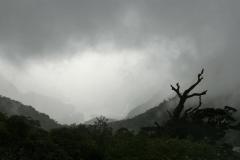 SONY DSC
