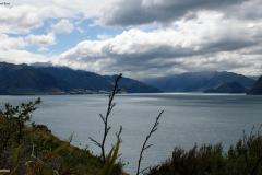 SONY DSC