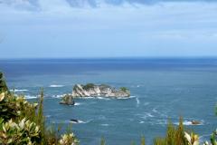 SONY DSC