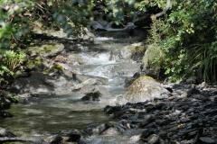 DSC00307