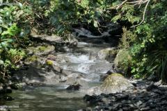 DSC00310