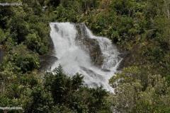 DSC00317