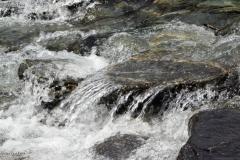 DSC00329