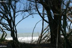 SONY DSC