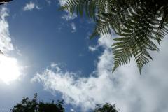 SONY DSC