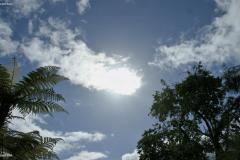 SONY DSC