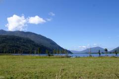 SONY DSC