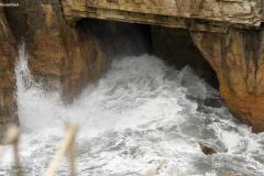 DSC00416