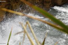 DSC00418