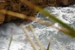 DSC00419