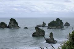 SONY DSC