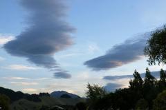 SONY DSC