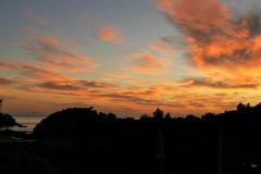 SONY DSC