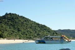 SONY DSC