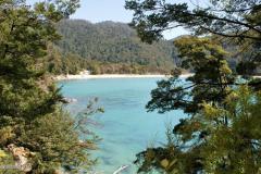 SONY DSC