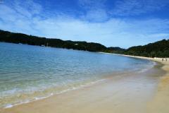 SONY DSC
