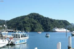 SONY DSC