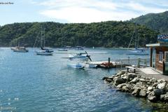SONY DSC
