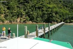 SONY DSC