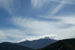 SONY DSC